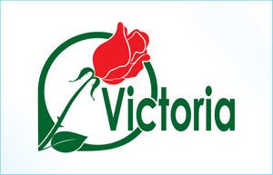 Flag Victoria Dnipropetrovs'k
