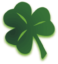    shamrockglass.net