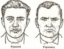     '