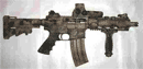 M16 Viper with the Coyote Ugly Finish